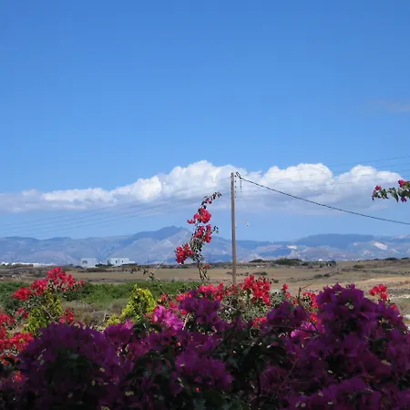 Aella 3* Naousa (Paros)